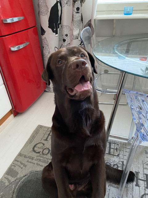 7-D9-DC65-C-BD0-C-4-A5-F-BACD-77-CE9406-