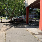 IMG-7692