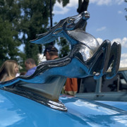 IMG-8341
