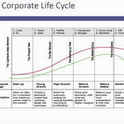 Corporate Life Cycle