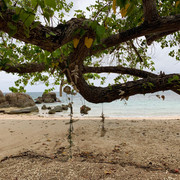 IMG-0624