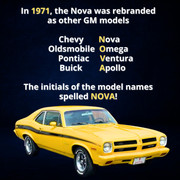 Nova