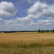 DSCF6171