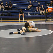 IMG-0217