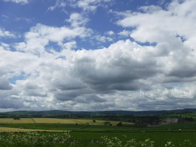 DSCF6064.jpg