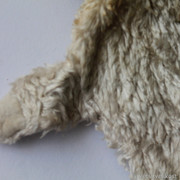 IMG-6741
