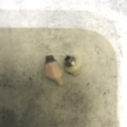 IMG-b5c6955bf27c4df376ffbc8cd72745bc-V.j