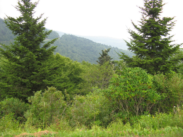 BRP overlook c.jpg
