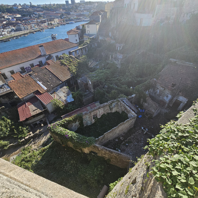 20230828-181146.jpg