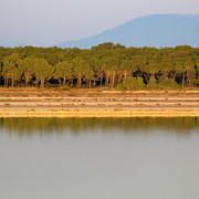 IMG-3214