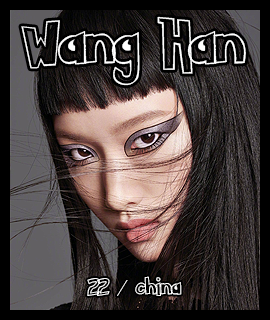 WANG.png