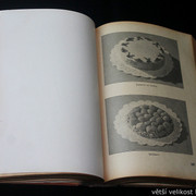 IMG-2132