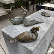 IMG-2713