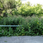 i-33