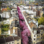 Bonn-Germany