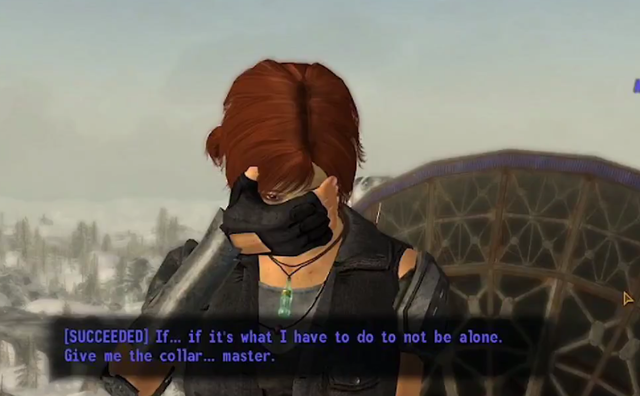 53453453536.png