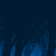 Dark-Forest7090-rectangle