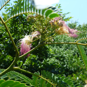 P1320189