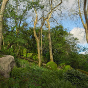 IMGP8231-2