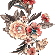 4de61ab56017cc062d65ce990fb9aeb8