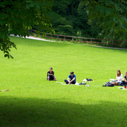 IMGP2183b