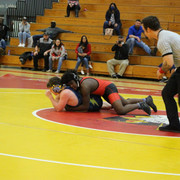 IMG-0795