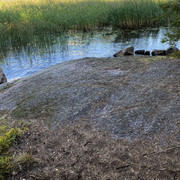 IMG-3091
