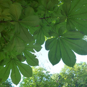 P1320762