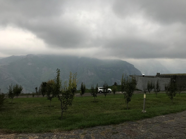 IMG-1329