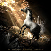 solar-horse-avi
