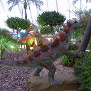 Stegosaurus