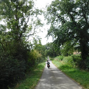 DSCF7604