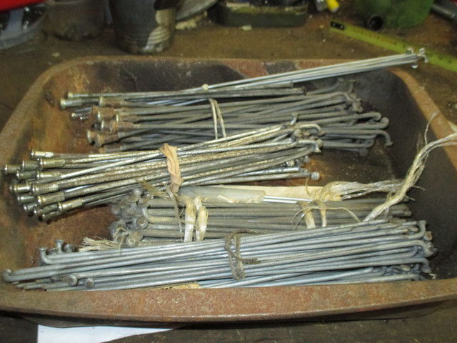 IMG-1943.jpg