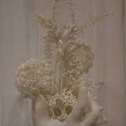 IMG-0152