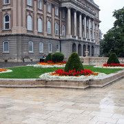 IMG-0138