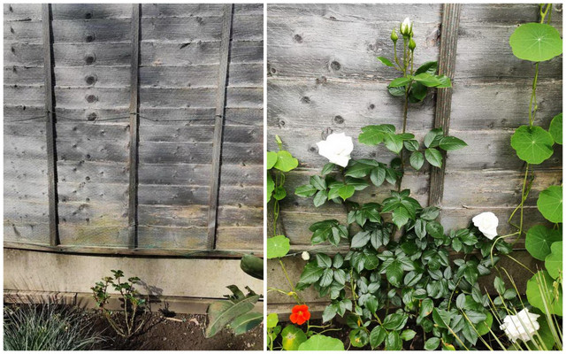 Desktop1