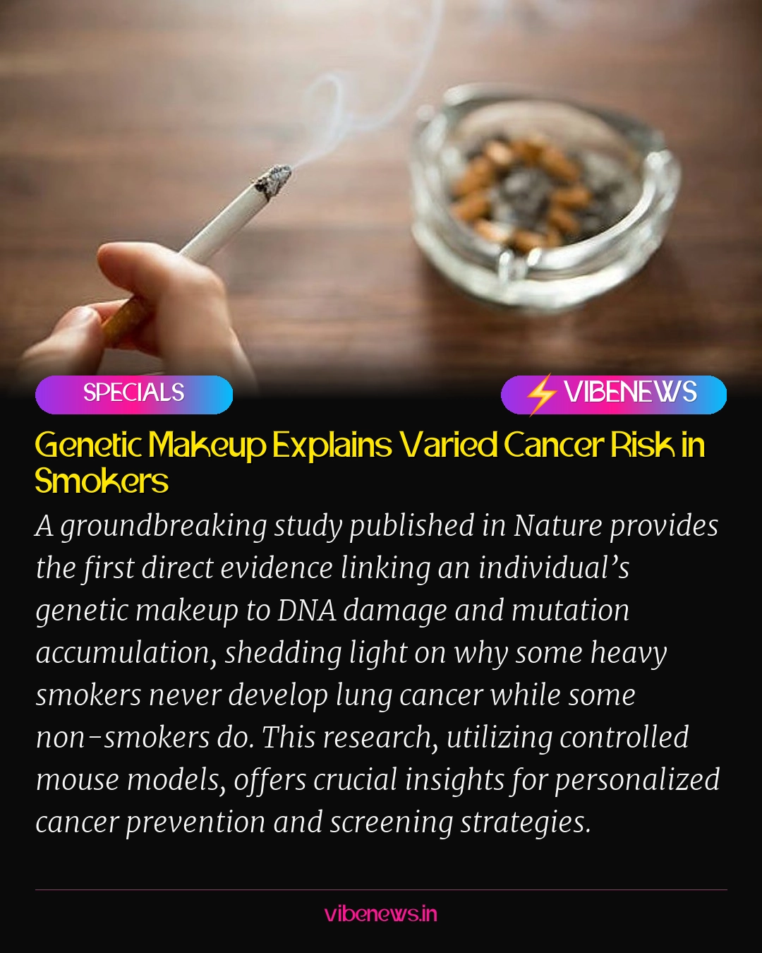 Genetic Makeup Explains Varied Cancer Risk in Smokers