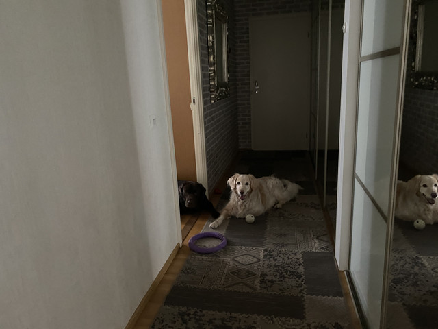 6-B98-CD4-F-5442-4-A8-B-9-A85-0292-A5-B9