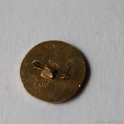 IMG-6817