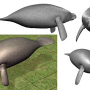 Manatee