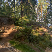 IMG-3622