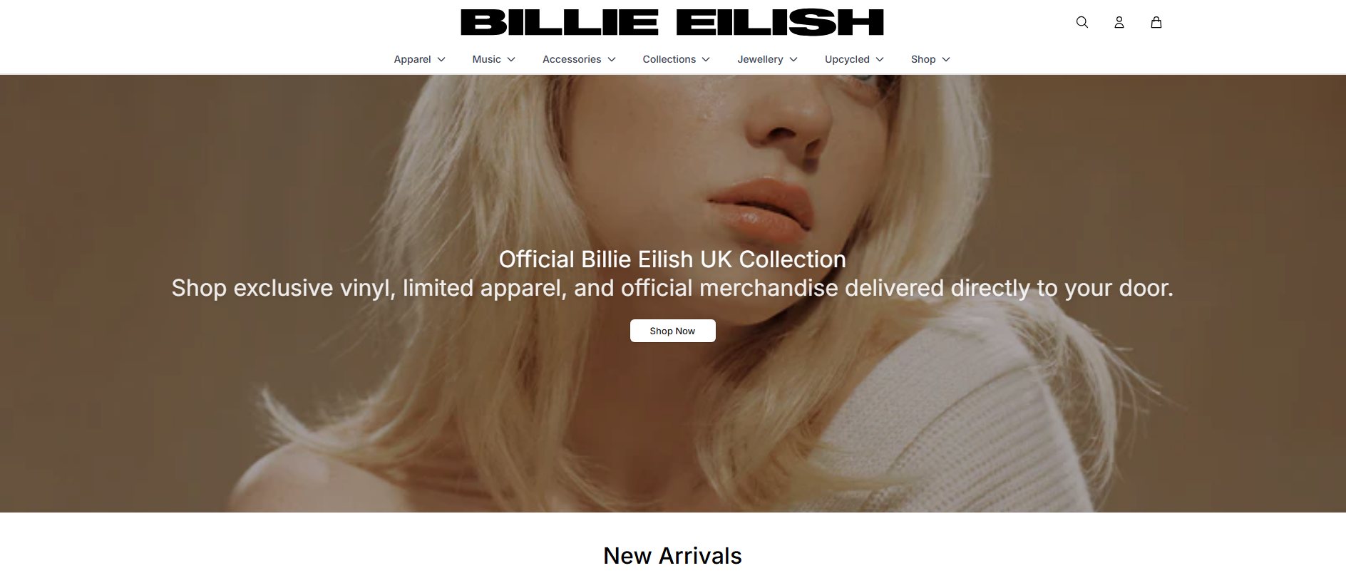 Primary capture · billieeilishfans.shop