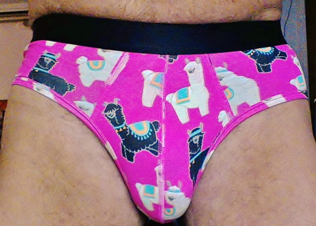 Yo-Llama-front-view