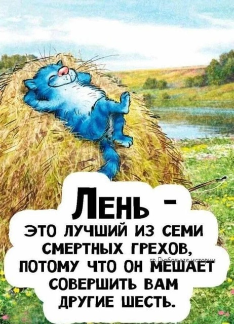 https://i.ibb.co/Wp4hLgPV/IMG-1013.jpg