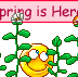spring016