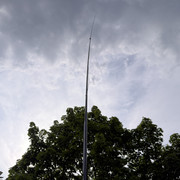 IMG 7233