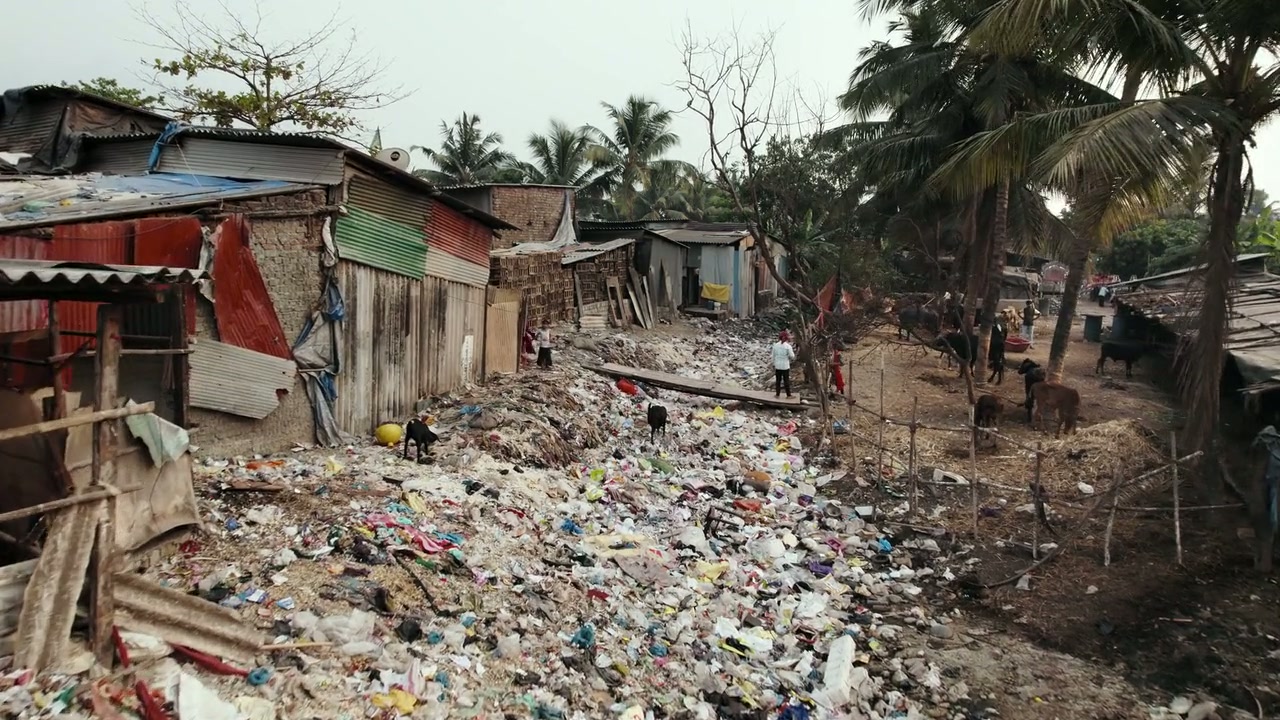 The Plastic Detox Screenshot