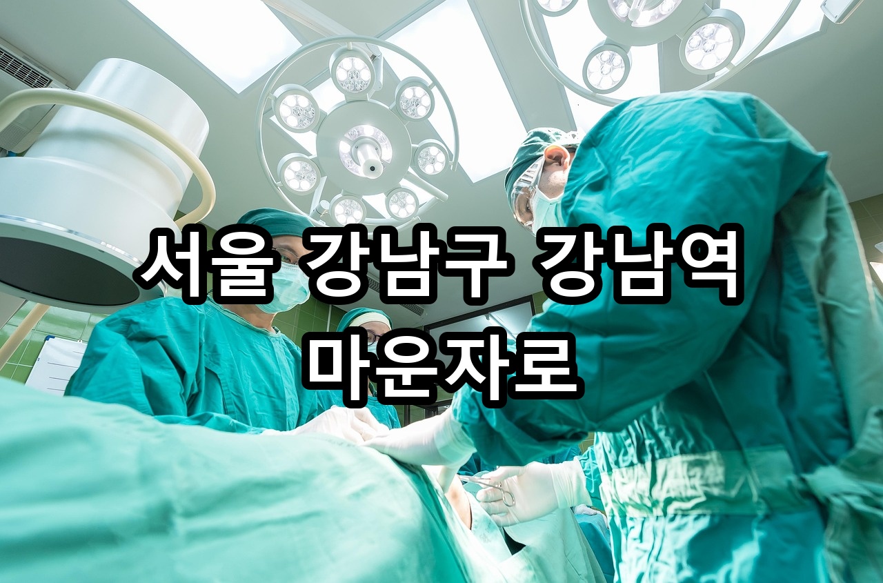 서울 강남구 강남역 마운자로 안내