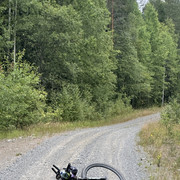 IMG 4436