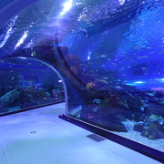 DSC08574